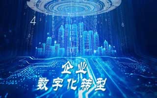 困在数字化迷局中的信息部门